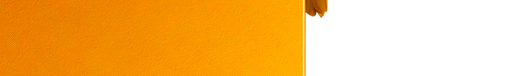 Footer padding